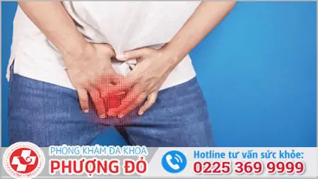 da khoa phuong do