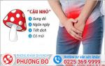 Nên làm gì khi bị nhiễm nấm dương vật?