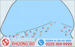 Chim Mọc Mụn Hãy Cùng Tìm Hiểu Và Điều Trị Sớm