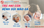 Sùi Mào Gà Căn Bệnh Xã Hội Nguy Hiểm
