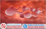 Tinh trùng đặc tinh trùng vón cục mối hiểm họa gây vô sinh