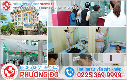 Nam Khoa Phượng Đỏ - Địa Chỉ Khám Nam Khoa Chính Quy Chất Lượng Tại Hải Phòng