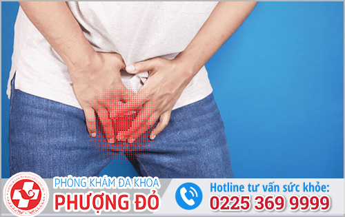 da khoa phuong do