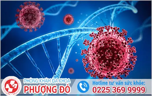 Những Căn Bệnh Xã Hội Thường Gặp Hiện Nay